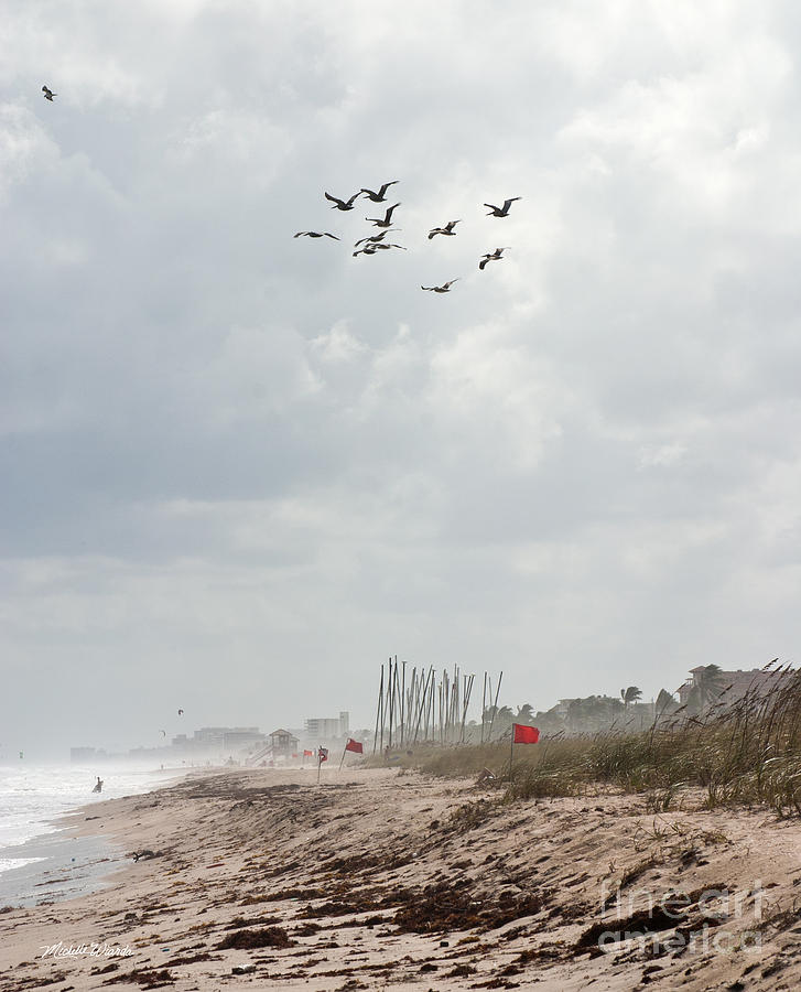 Summer Photograph - A Summer Day at Delray Beach Florida by Michelle Constantine