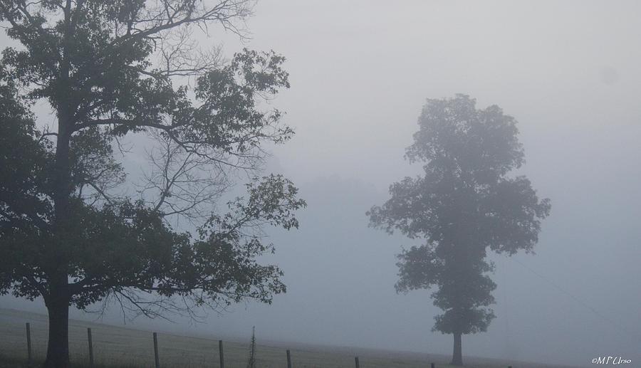 A Summers Fog Photograph by Maria Urso