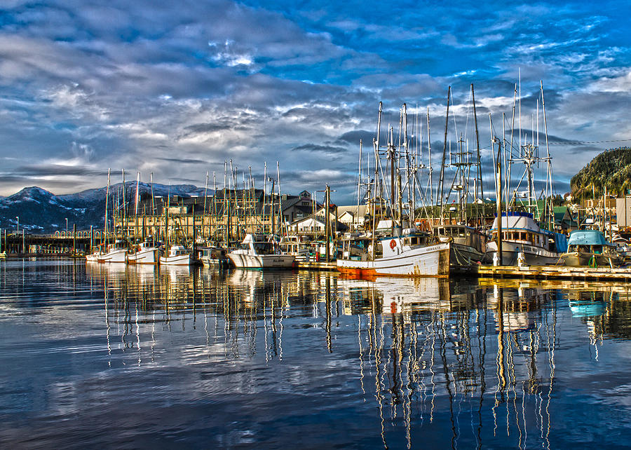 A sunny day at the harbor Photograph by Timothy Latta - Fine Art America