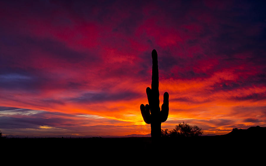 Sunset Photograph - A Sunset Arizona Style  by Saija Lehtonen