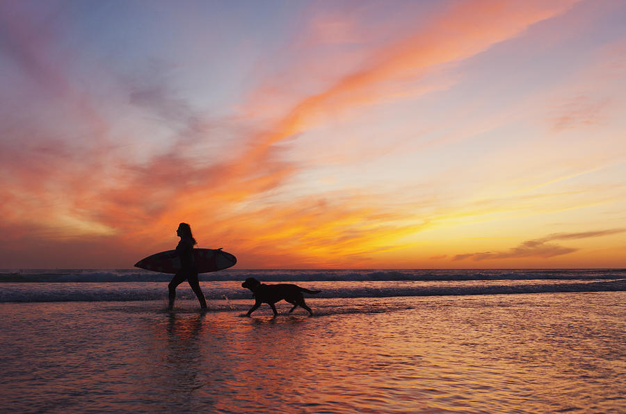 A Surfer Walks In Shallow Water With Photograph by Ben Welsh