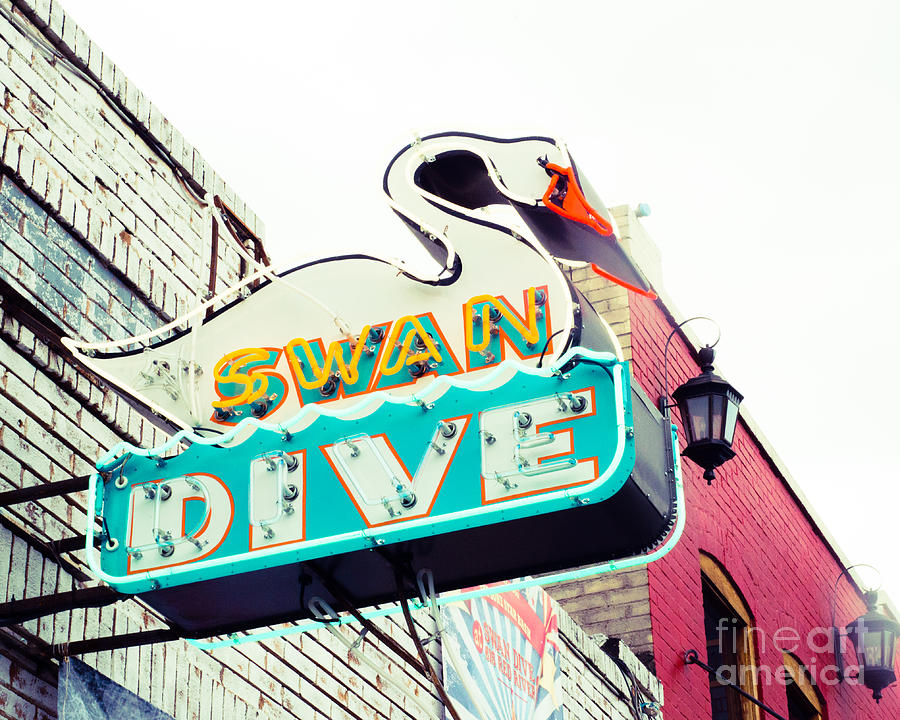 A Swan Dive in Austin Photograph by Sonja Quintero