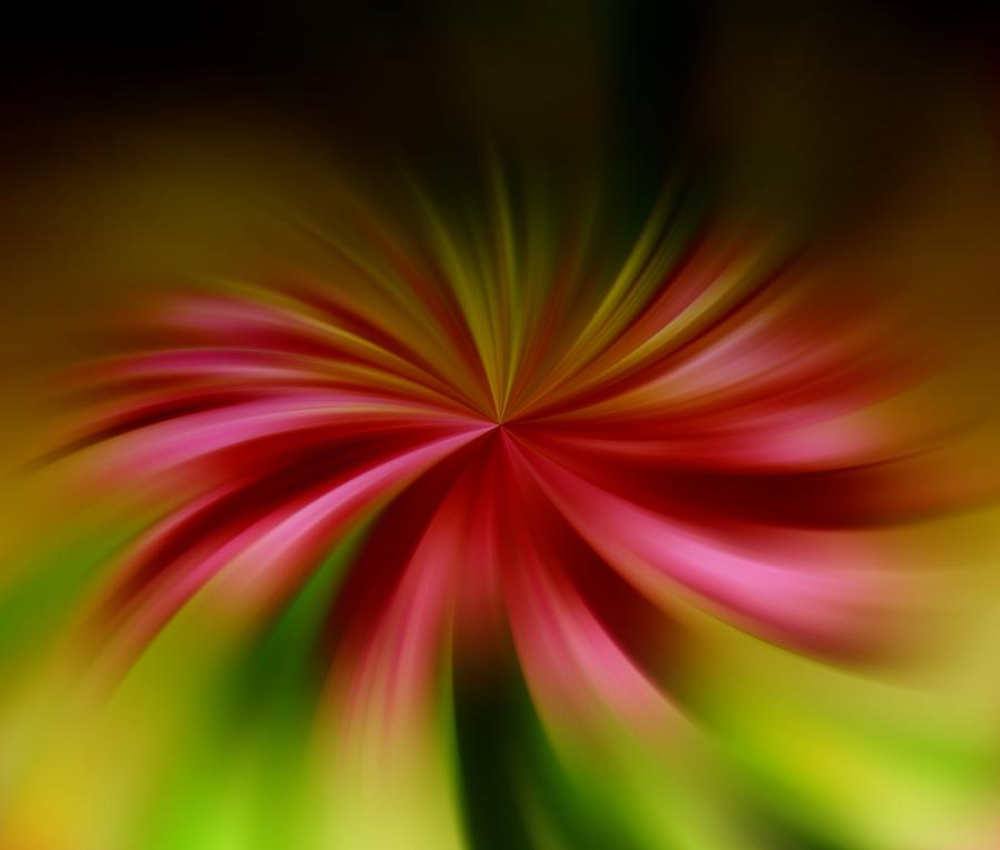 Abstract Photograph - A Swirled Flower by Jeff Swan