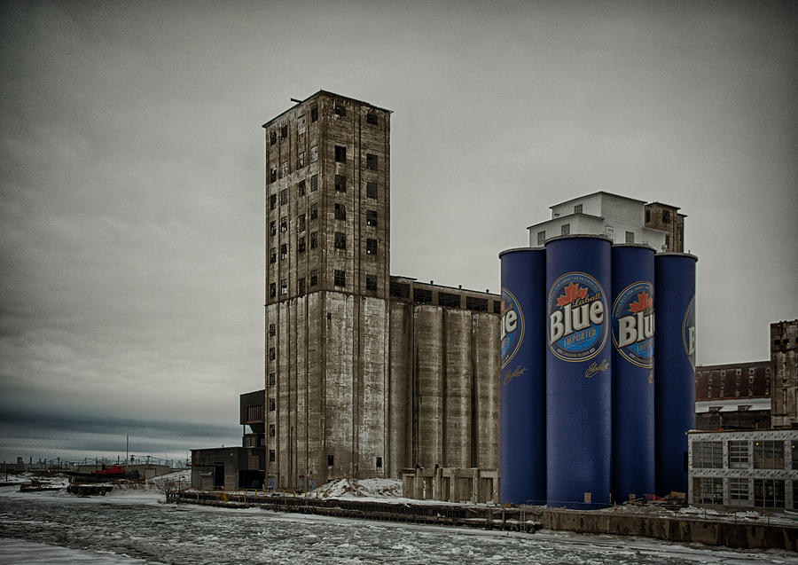 Buffalo Photograph - A Tall Blue Six-Pack by Guy Whiteley