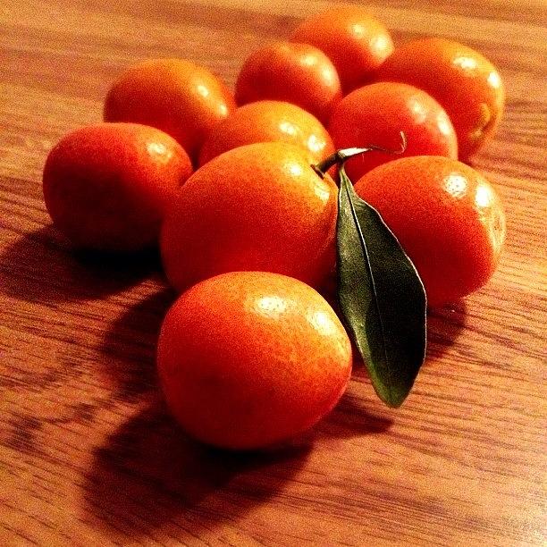 Orange Photograph - A Taste Of #orange Funk by Damien Lamar
