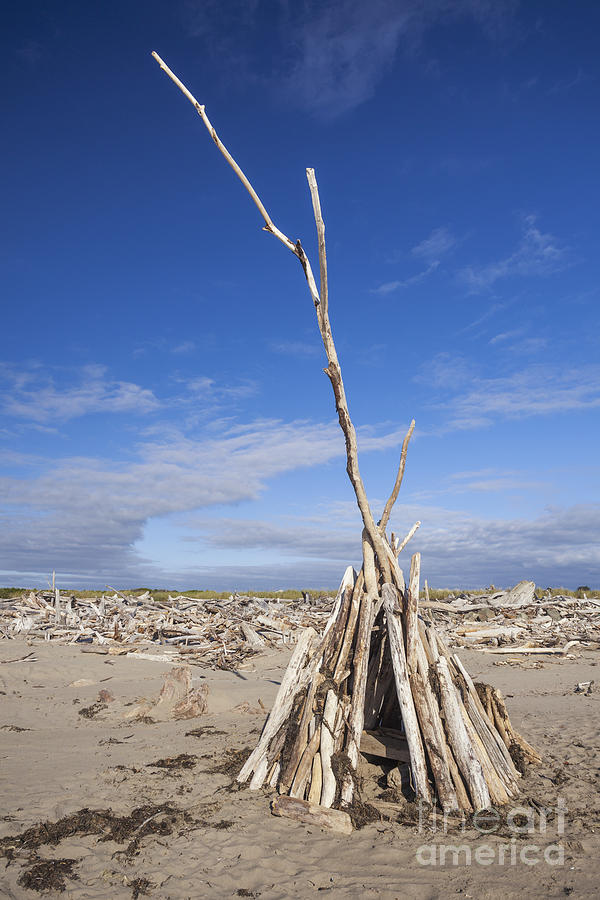 A Teepee Madeup Of Driftwood At Bandon Beach Photograph by Bryan Mullennix