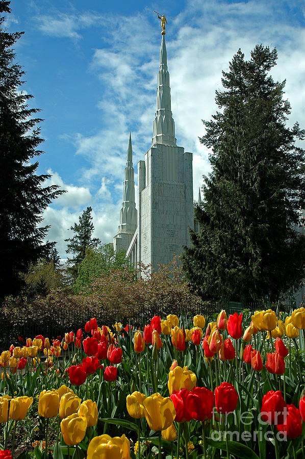 Portland Photograph - A Temple To Our God by Nick Boren