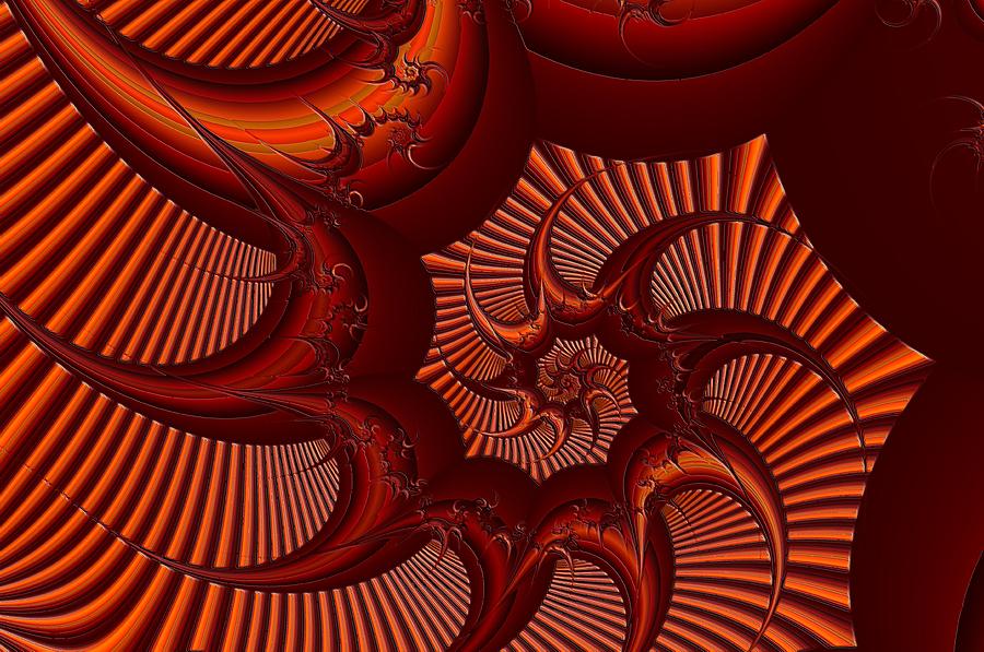 Abstract Photograph - A Thorny Swirl by Jeff Swan