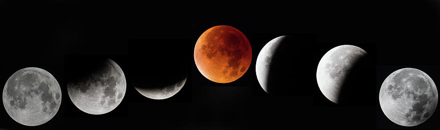 A Total Lunar Eclipse Spawns Blood Photograph by Matt Cardy