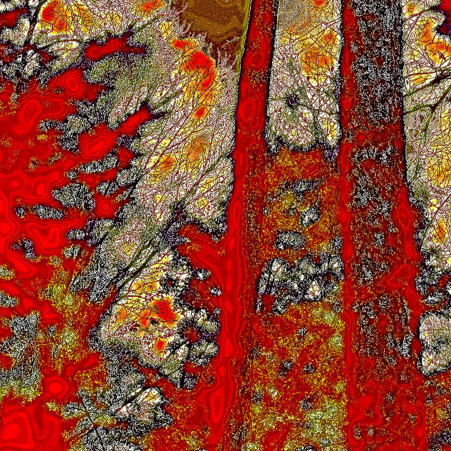 Abstract Photograph - A Touch of Autumn Abstract VI by David Patterson