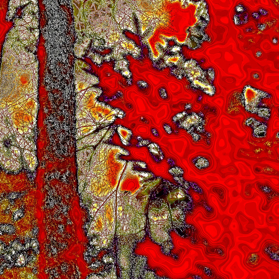 A Touch of Autumn Abstract VII Photograph by David Patterson