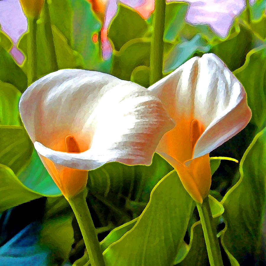 A touch of color 4  a Lily  Digital Art by Joseph Coulombe