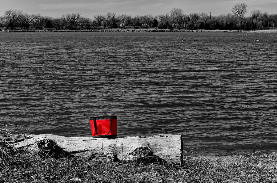 A Touch of Red Photograph by Doug Long