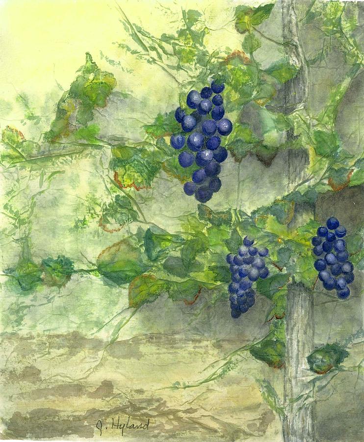 Grape Mixed Media - A Touch of Tuscany by Jeanne Hyland-Curtin