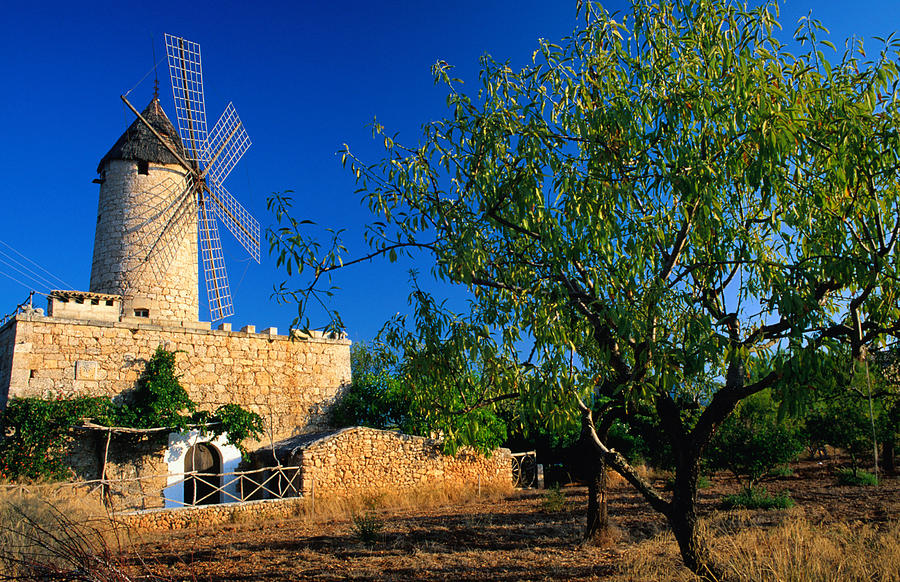 A Traditional Windmill Still Stands Photograph by David C Tomlinson
