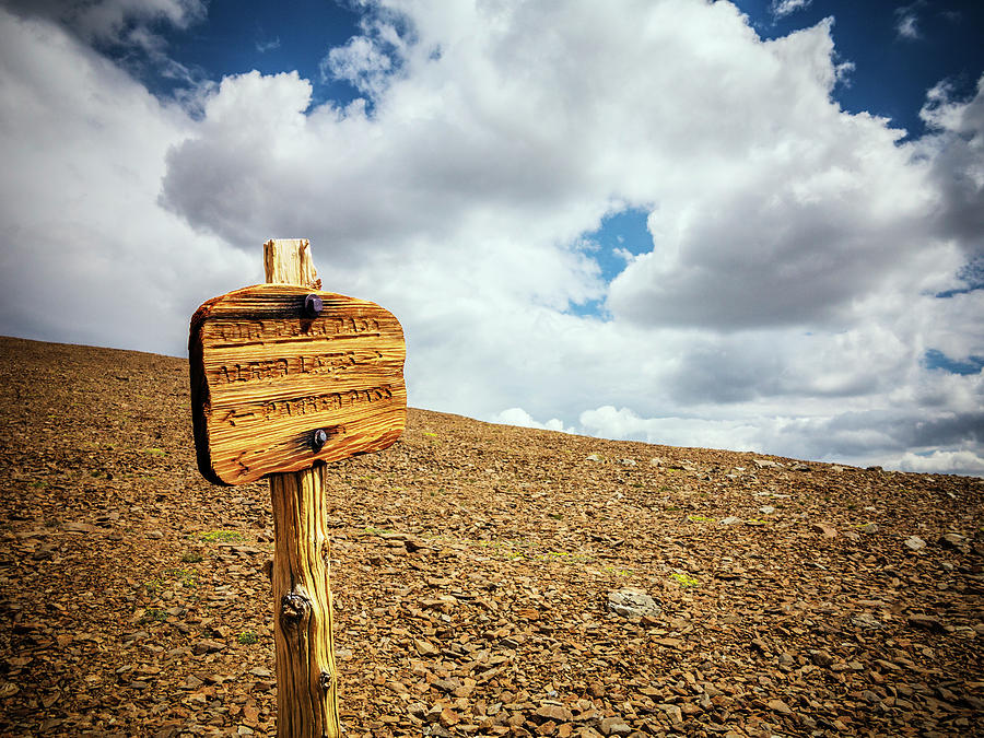 Sign Photograph - A Trail Sign Post by Ron Koeberer