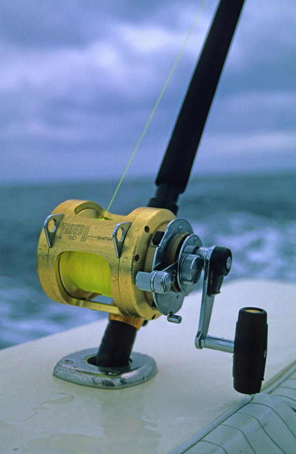 A Trolling Rod And Reel Mounted by Stephen Gorman