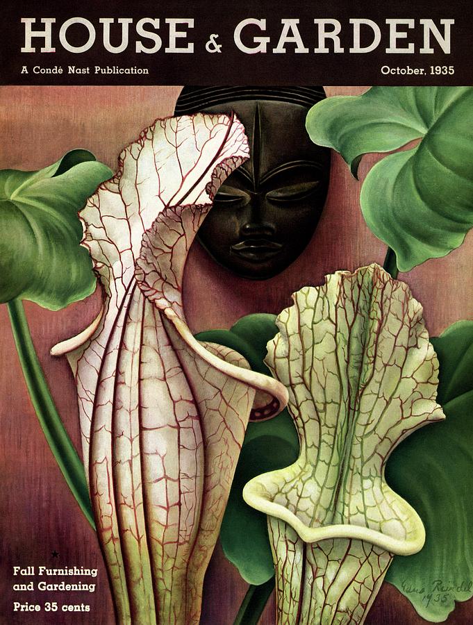 A Tropical Flower And An African Mask Photograph by Edna Reindel
