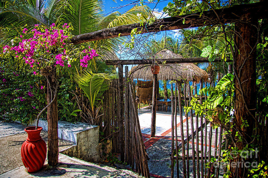 A Tropical Retreat in Paradise Photograph by Rene Triay FineArt Photos