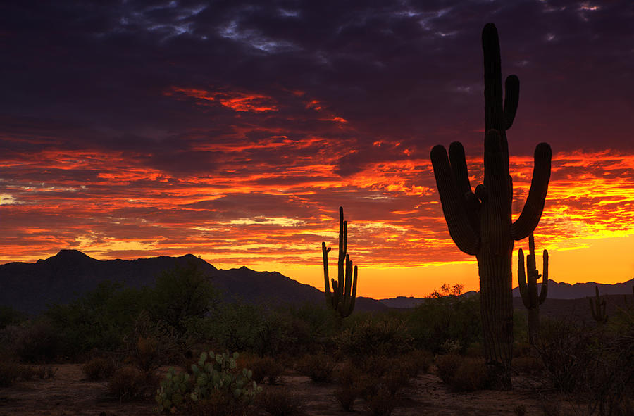 Sunset Photograph - A True Southwest Sunset  by Saija Lehtonen