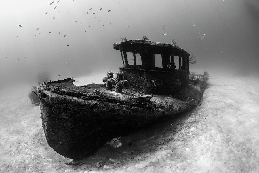 A Tugboat Wreck In The Bahamas Photograph by Brook Peterson