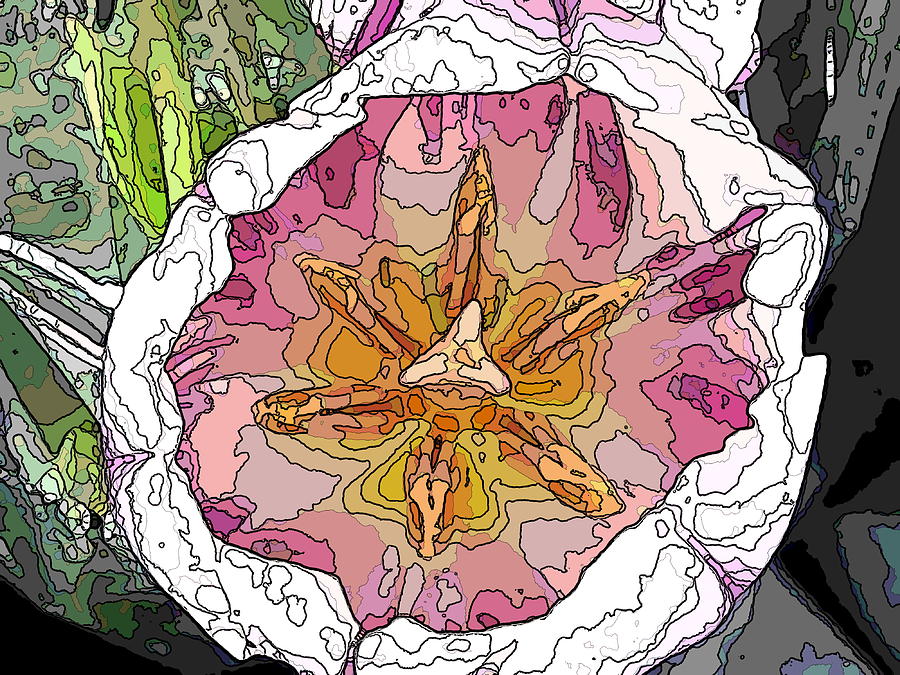 A Tulip To You Digital Art by Tim Allen