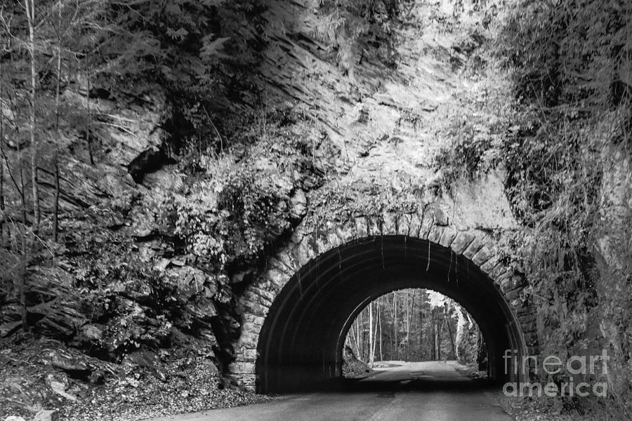 A Tunnel In The Park Photograph