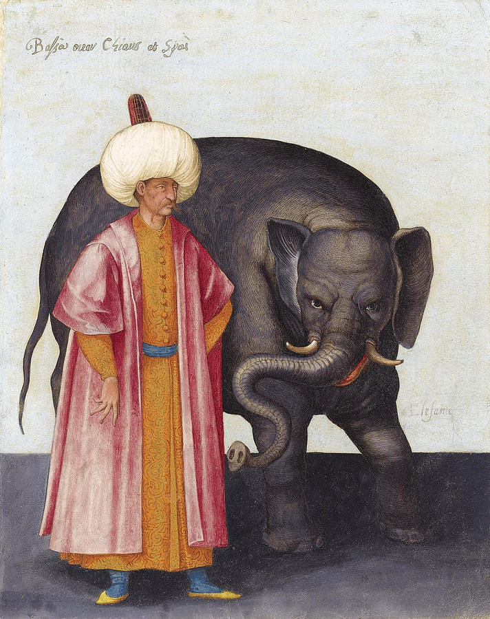 Jacopo Ligozzi Painting - A Turbanned Pasha with an Elephant by Jacopo Ligozzi