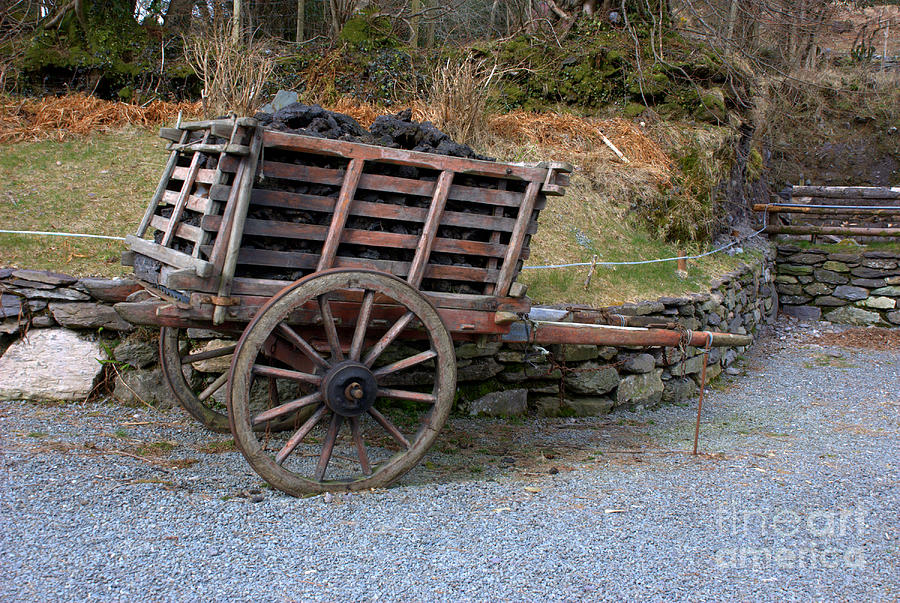 A turf cart Photograph by Joe Cashin