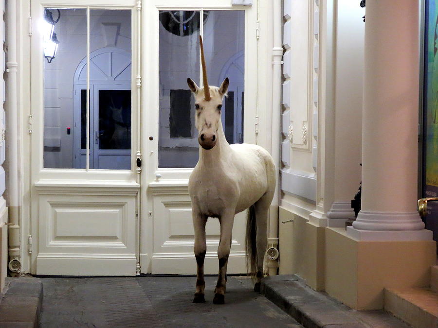 A Unicorn In Paris France Photograph by Rick Rosenshein
