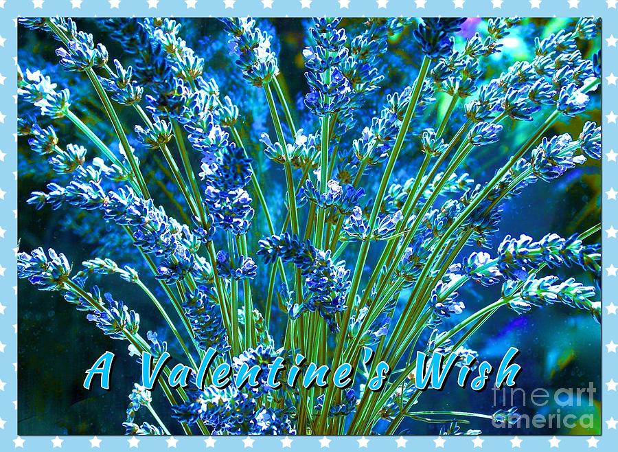 Lavender Flowers Photograph - A Valentine Wish in Lavender Blue by Joan-Violet Stretch