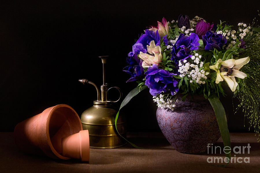 A Vase of Anemones Photograph by Ann Garrett