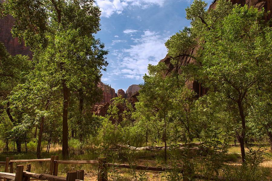 A Verdant Valley in Zion Canyon by John M Bailey A Verdant Valley in Zion Canyon by John M Bailey