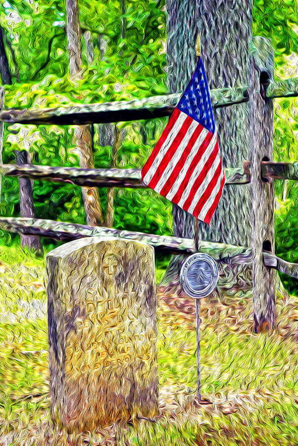 A Veteran Remembered Photograph by Paul W Faust -  Impressions of Light