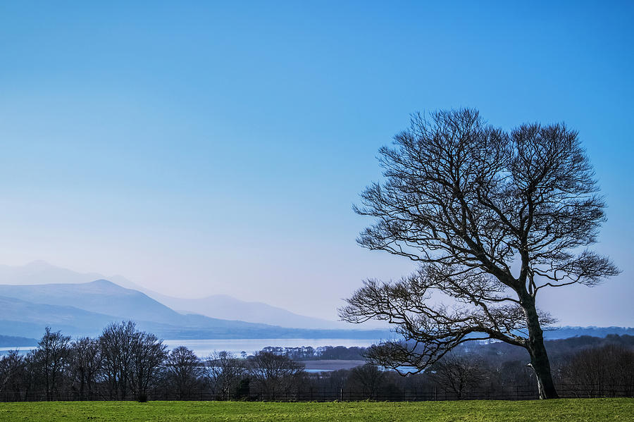 A Vew Of Lough Leane In Killarney Photograph by Leah Bignell