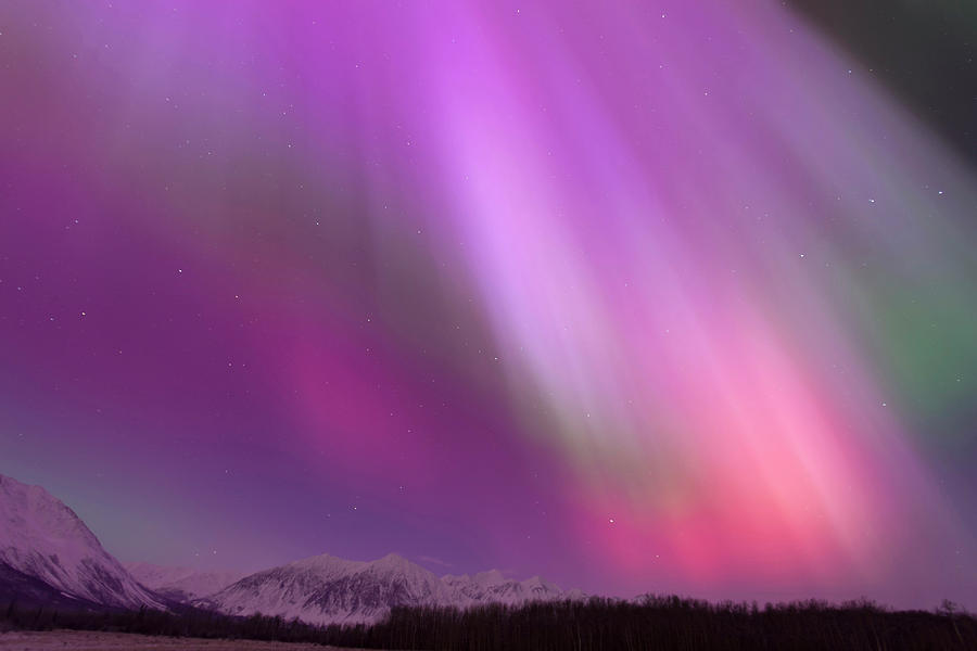 Winter Photograph - A Vibrant Display Of Aurora Borealis by Hugh Rose