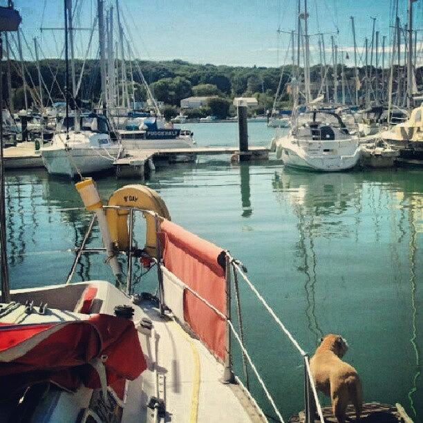 Cowes Photograph - A View Across The Harbour by Aimee White