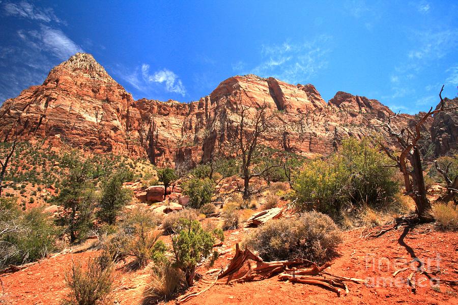 A View Along The Watchman Photograph by Adam Jewell