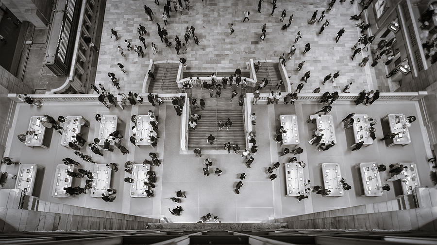 A view from above - B and W Photograph by Eduard Moldoveanu