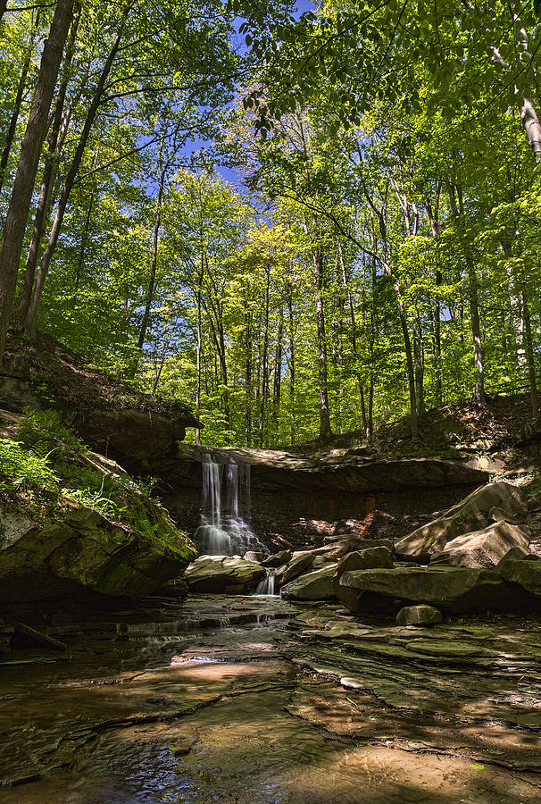 Cuyahoga Valley National Park Photograph - A View From Below by Dale Kincaid