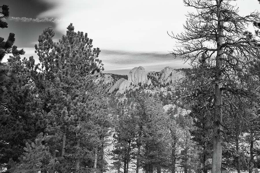 A View From Estes Park Photograph by Guy Whiteley