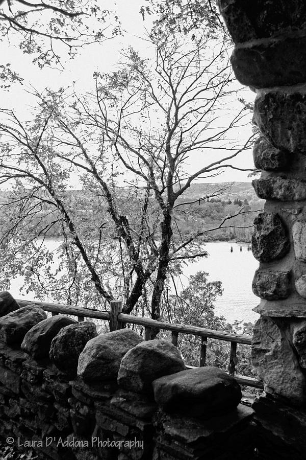 Tree Photograph - A view from Gillette Castle by Laura DAddona