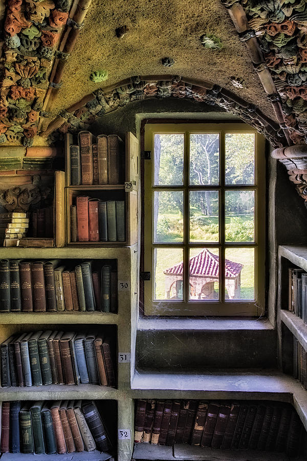 A View From The Study Photograph by Susan Candelario