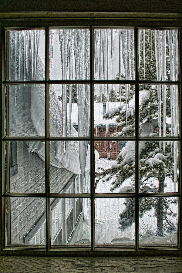 A View Into Winter Photograph by Wes and Dotty Weber
