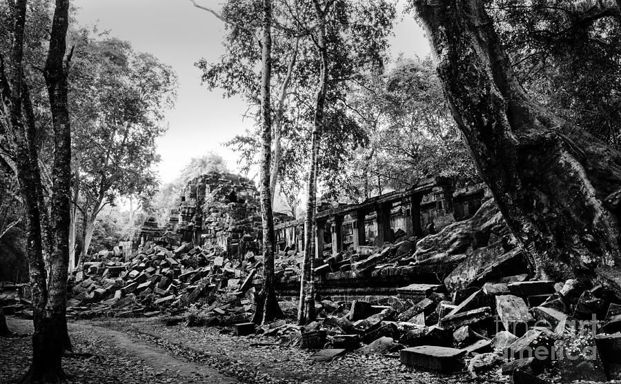 Tree Photograph - A View of Beng Mealea by Julian Cook