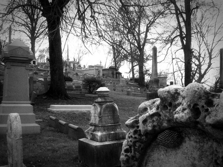 A View Of Laurel Hill Cemetery Photograph