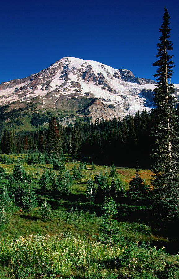 A View Of Mt Rainier From Somewhere Photograph by John Elk