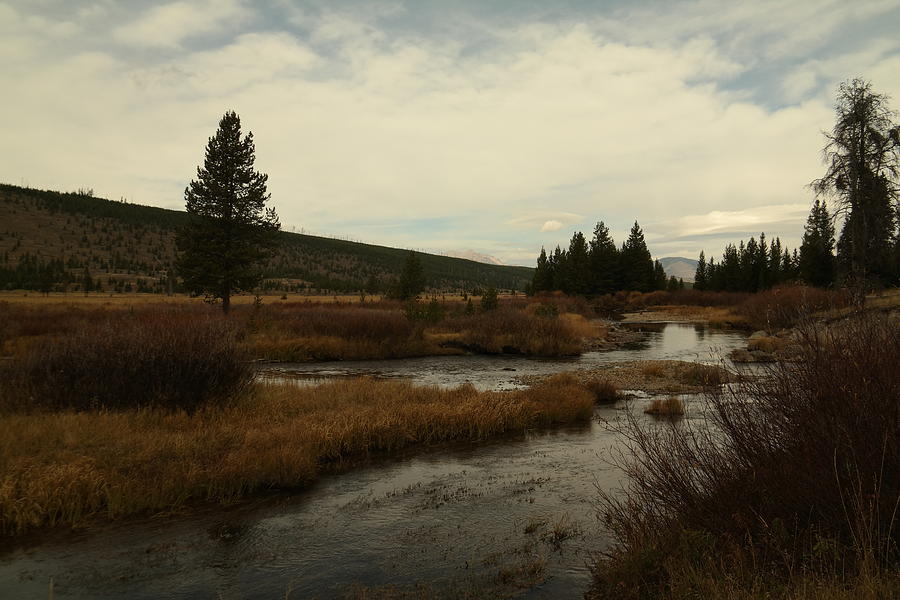 Yellowstone National Park Photograph - A view of serenity by Jeff Swan