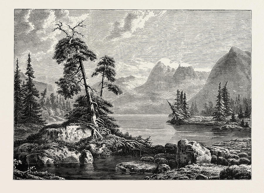 A View On The Hardanger Fjord. Hardangerfjord In The County Drawing by
