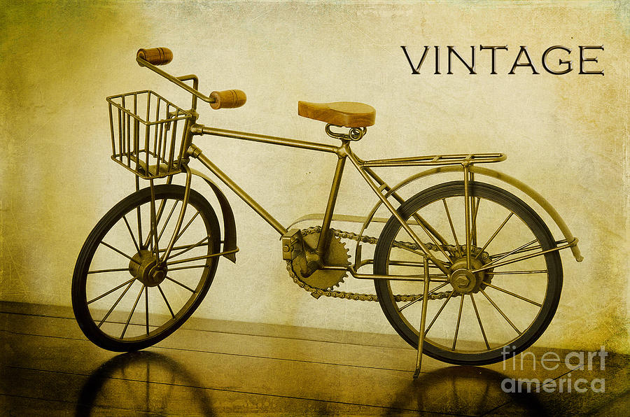 A Vintage Bike Photograph by Mary Jane Armstrong
